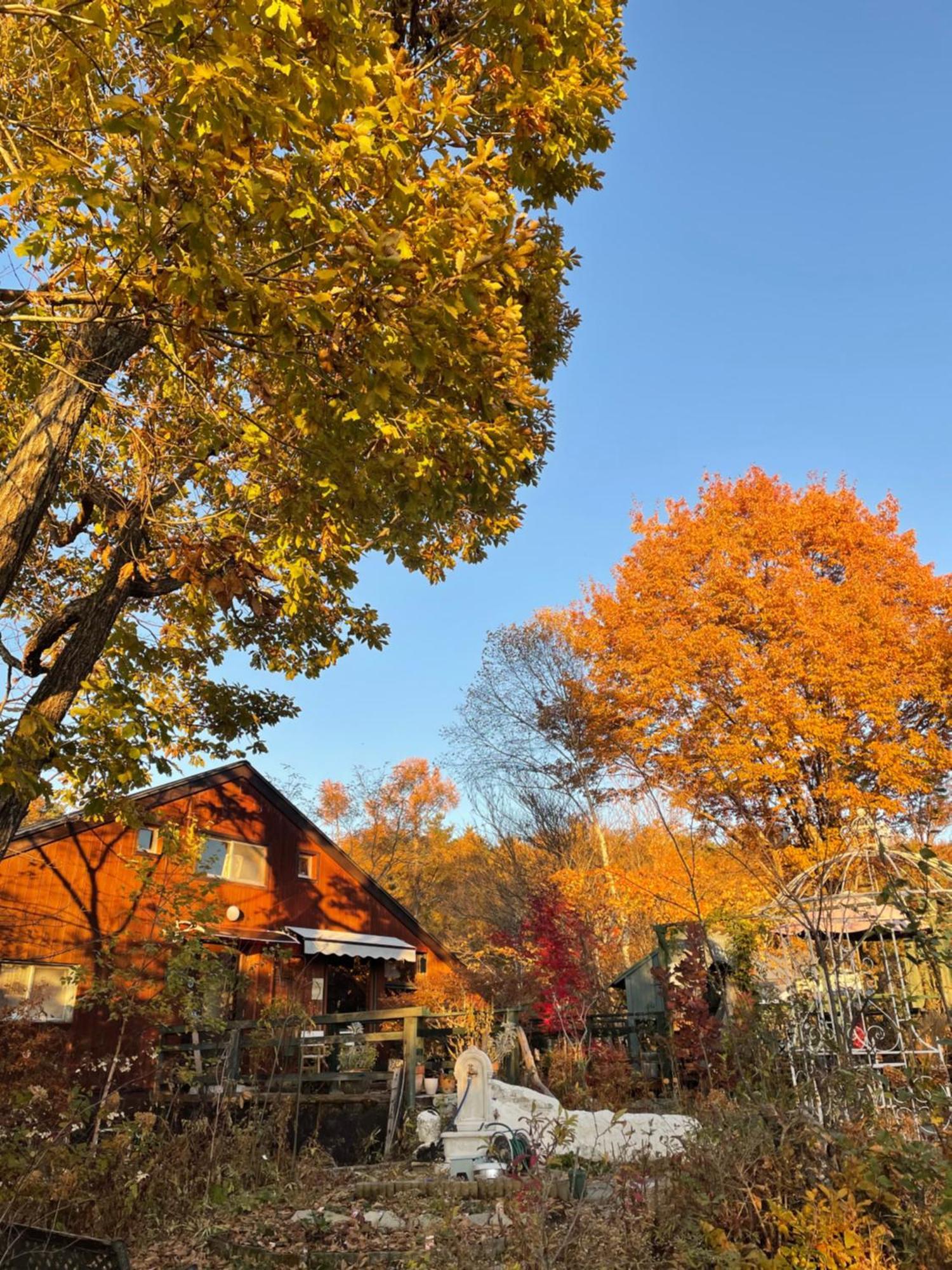 Gallery Hara And Guest House エクステリア 写真