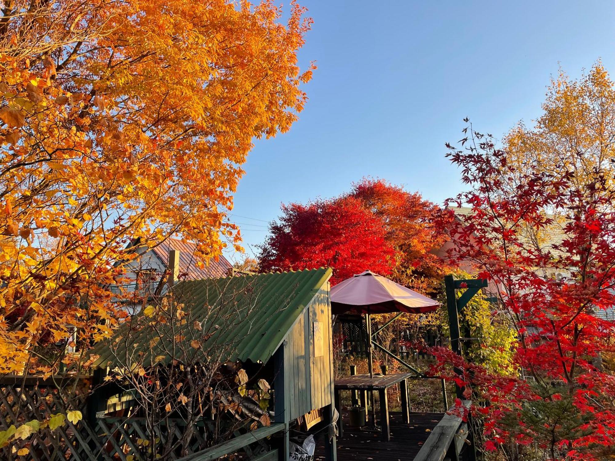 Gallery Hara And Guest House エクステリア 写真